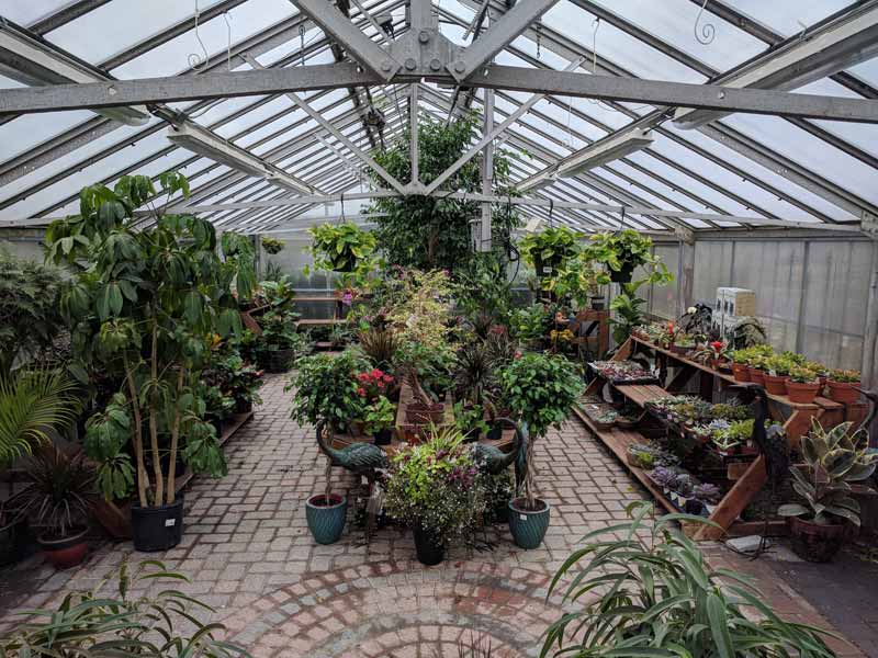Greenhouse Indoor Plants, Succulents Country Mile Gardens