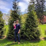 Thuja standish x plicata ‘Green Giant’ Green Giant Arborvitae