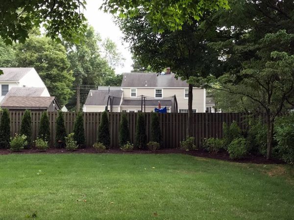 Privacy Hedge Sideview Final