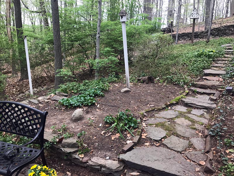 Shady Nooks Country Mile Gardens