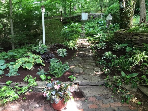 Shady Nooks Path After
