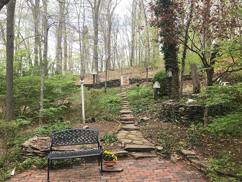 Shady Nooks Country Mile Gardens