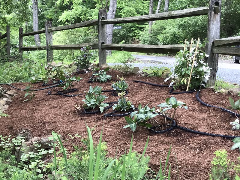 Harding Lake Cottage Updates Country Mile Gardens