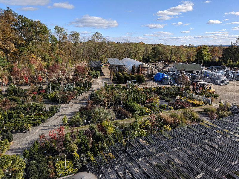 Rooftop View of Solar Array
