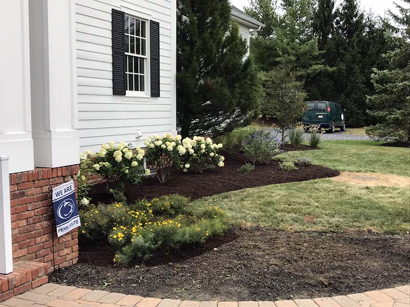 A Unique Foundation Planting Country Mile Gardens