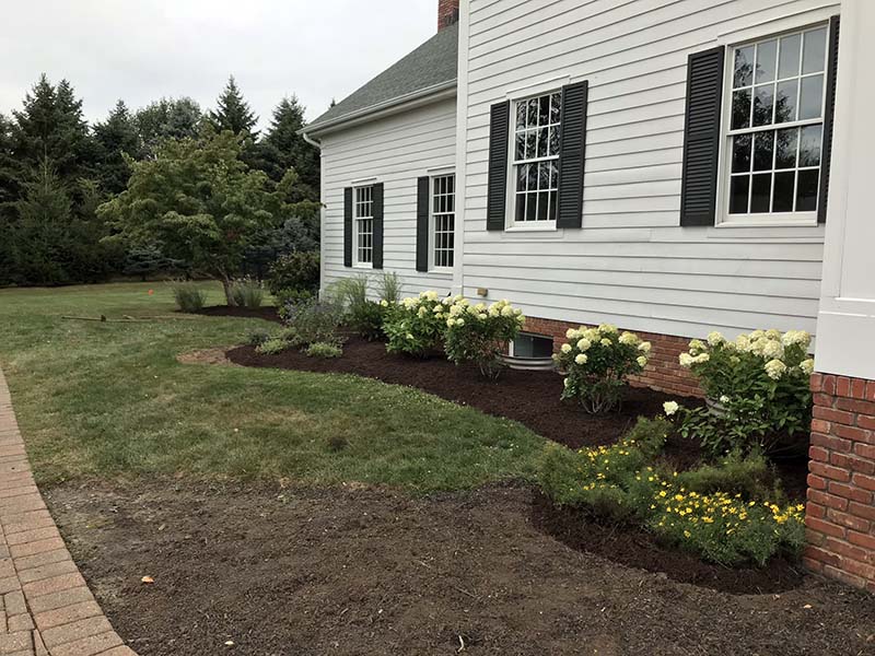 A Unique Foundation Planting Country Mile Gardens